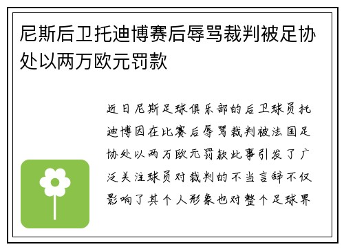 尼斯后卫托迪博赛后辱骂裁判被足协处以两万欧元罚款 尼斯后卫托迪博赛后辱骂裁判被足协处以两万欧元罚款