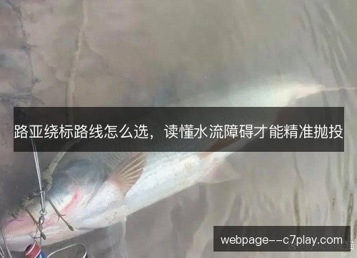 路亚绕标路线怎么选,读懂水流障碍才能精准抛投 路亚绕标路线怎么选,读懂水流障碍才能精准抛投